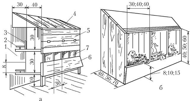 Гнездо для кореллы: требования к домику, размеры, материал, как сделать своими руками, фото