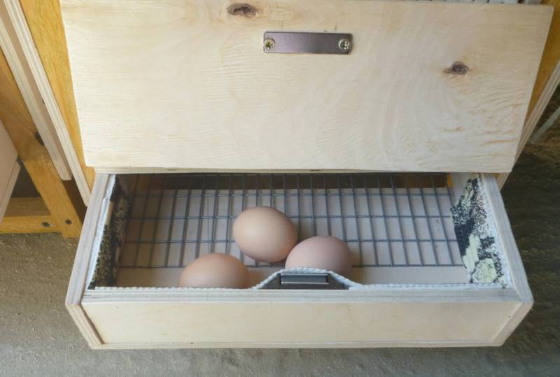 Чертеж гнезда для кур-несушек с яйцесборником своими руками. как сделать гнезда для кур несушек с яйцесборником?
