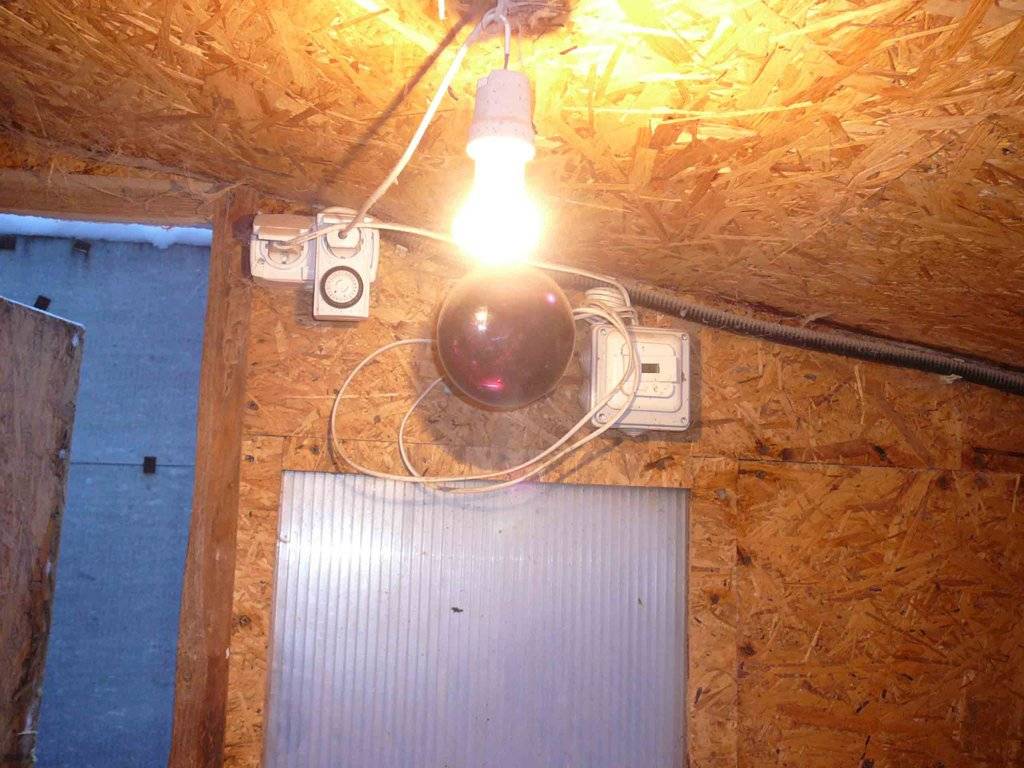 Инфракрасные лампы для обогрева курятника, обогреватели зимой