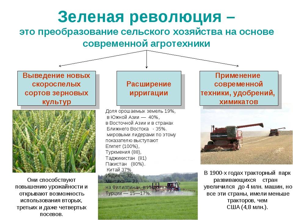 Пришла еда, откуда не ждали: россия увеличила экспорт продовольствия