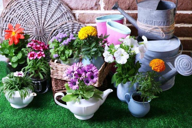Секреты цветовода: кашпо в интерьере дома или сада