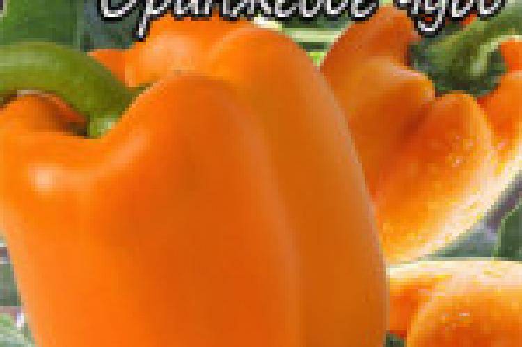 Характеристика и описание перца “оранжевое чудо”. особенности выращивания сорта и сбор урожая