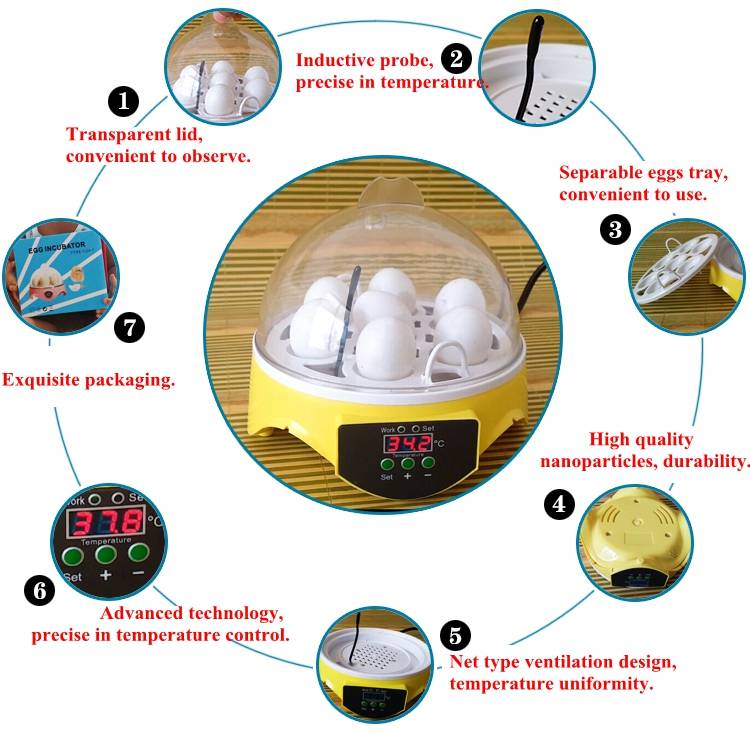 ᐉ какие яйца нужны для инкубатора - правила отбора яиц для инкубации - zooon.ru