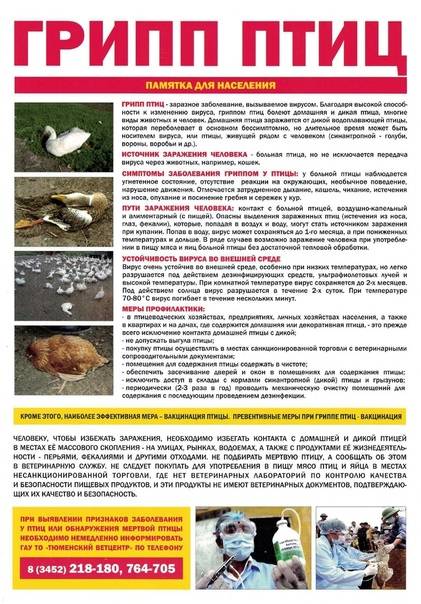 Грипп птиц (ai) - симптомы, схемы лечения и профилактика от nita-farm