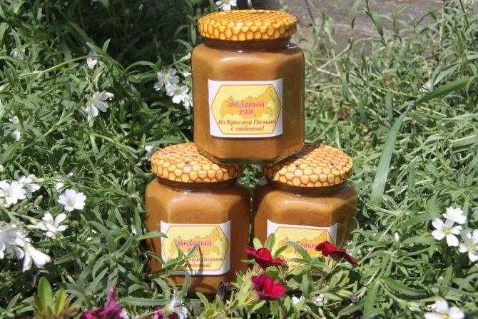 Редкий и полезный мед из кориандра (кинзы)
