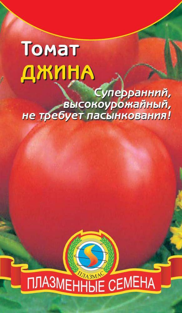 Сорт томата Джина: советы по выращиванию