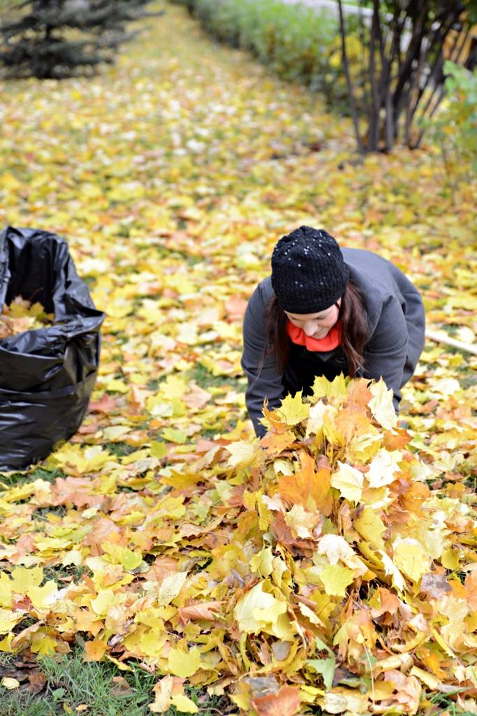 Элегантные решения что делать с опавшими листьями по осени