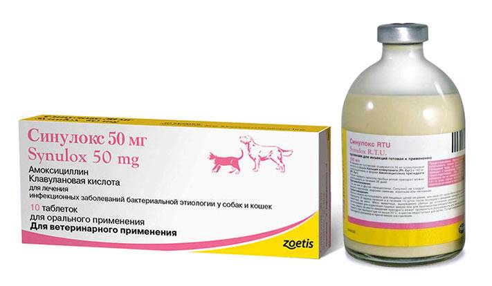 Синулокс для собак - инструкция по применению, таблетки или уколы, цена, отзывы | petguru