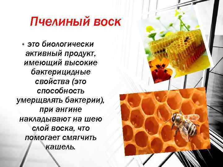 Пчелиный воск: свойства, применение, хранение | вести с медовых ярмарок | пчеловод.ком