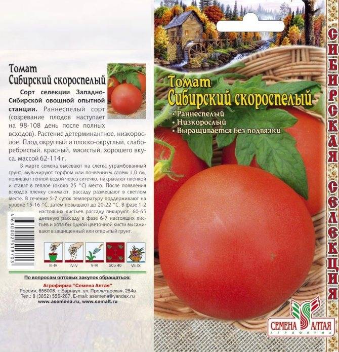 Сорт томата Красным красно F1: советы по выращиванию