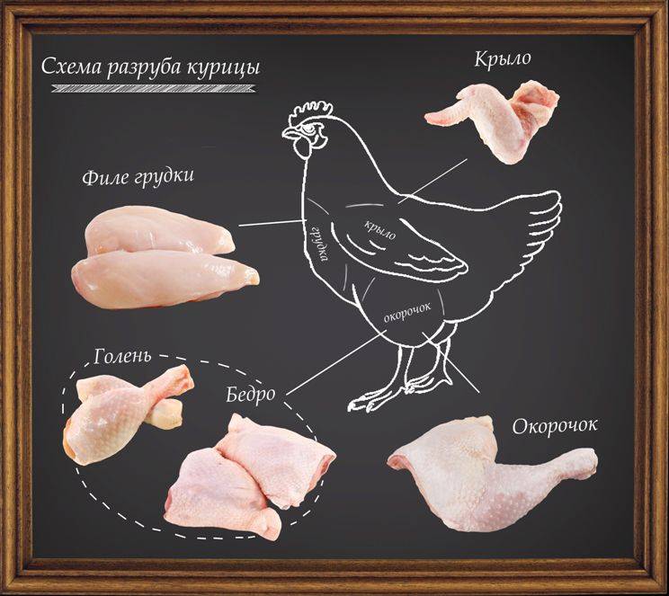 Как правильно и аккуратно разделать тушку курицы — потрошение, способы разделки