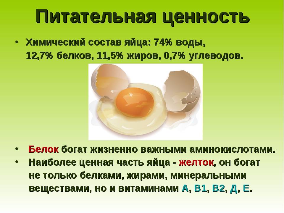 Откуда берутся яйца с кровью и безопасно ли их есть: важно знать