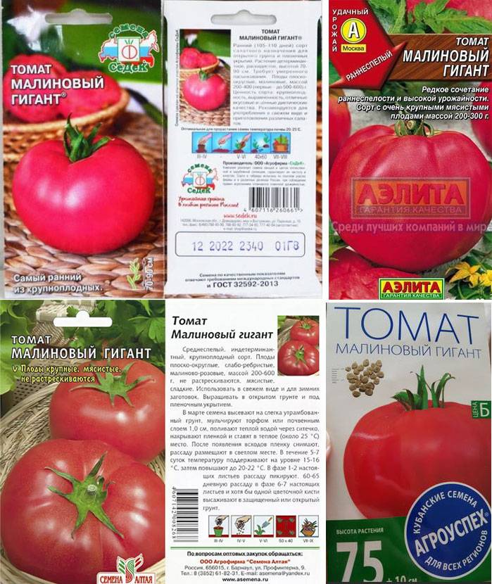 Медовый вкус и отличное плодоношение — томат розовый гигант: описание сорта и характиристика