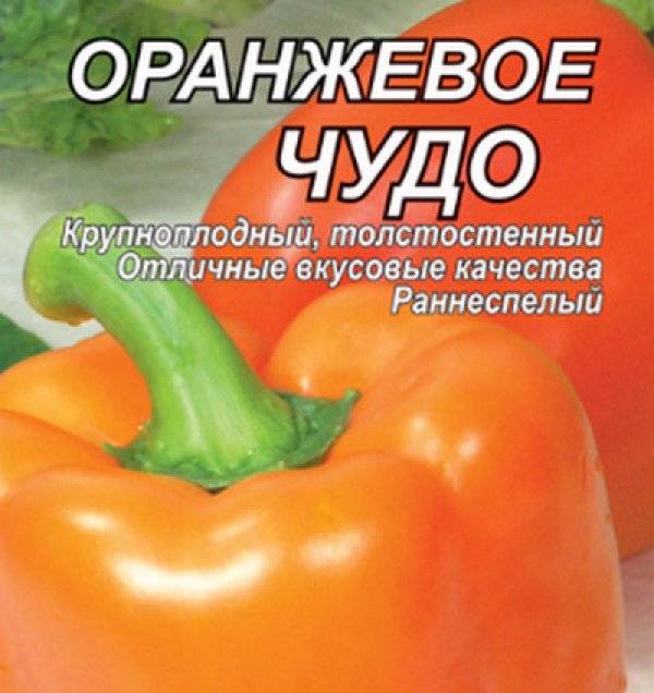 Перец "оранжевое чудо": характеристика и описание сладкого сорта культуры, агротехника выращивания, сбор урожая