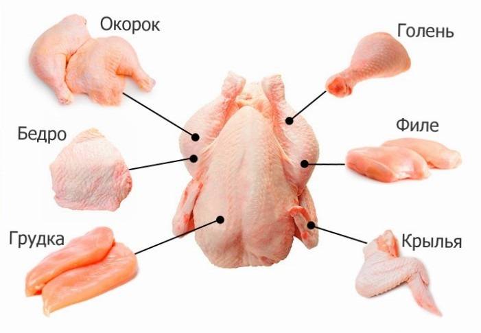 Правила потрошения и разделки куриной тушки