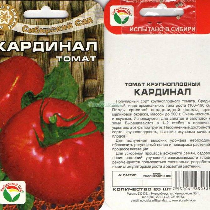 Сорт томата Кардинал: описание и советы по выращиванию