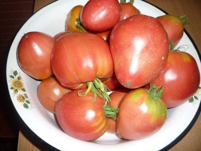 Как выращивать томат розовый мед: описание сорта и основные требования