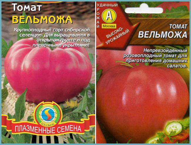 Томат вельможа: характеристики и описание сорта. томат вельможа: отзывы, фото, урожайность, секреты выращивания