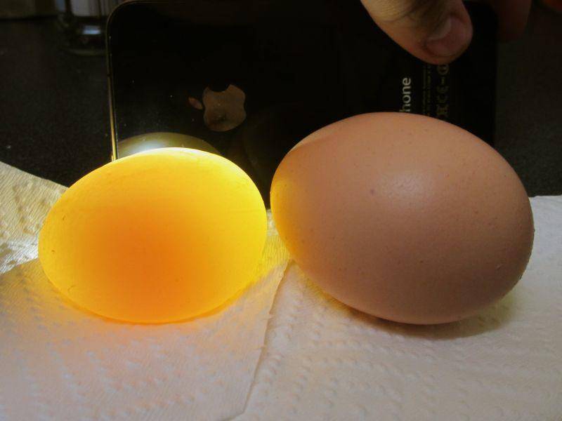 Куры несут яйца без скорлупы: с какими видами вирусных или инфекционных заболеваний может быть связан этот симптом?