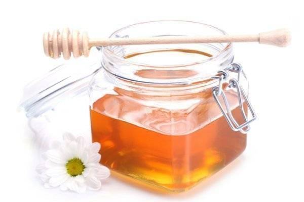 Мёд эвкалиптовый, основные характеристики и свойства