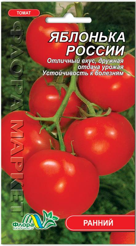 Томат яблонька россии: отзывы, фото, урожайность, описание и характеристика | tomatland.ru
