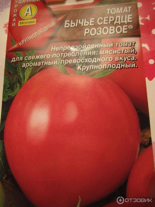 Томат бычье сердце минусинское кистевое: отзывы, фото, урожайность | tomatland.ru