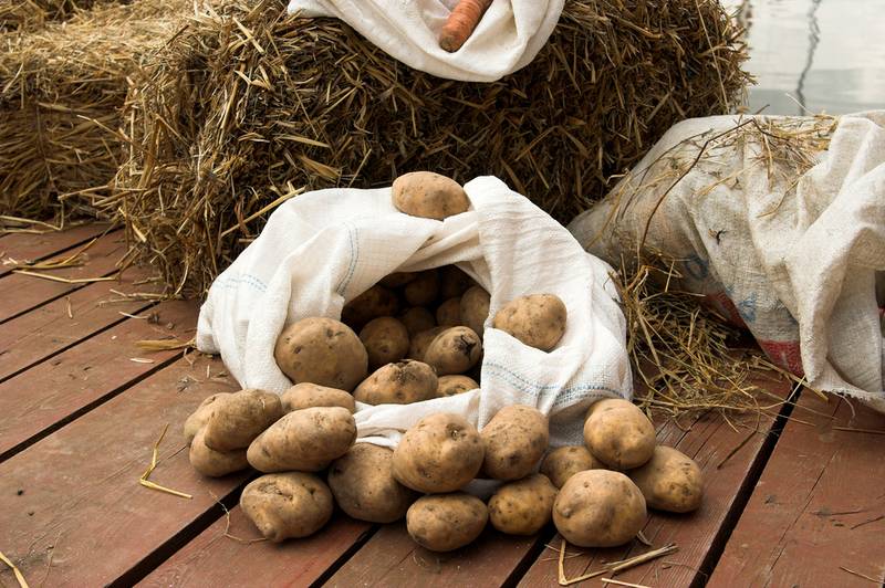 Где хранить картошку в квартире: 5 альтернативных способов