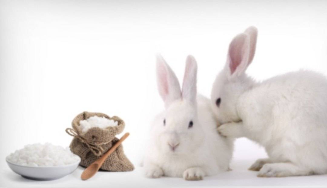 Соль для кроликов: зачем нужна, можно ли, и как давать, соль-лизунец