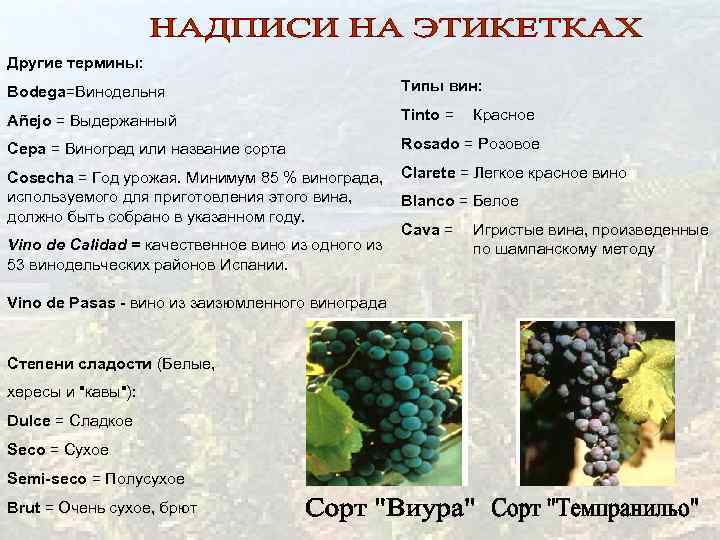 Классификация, описание и лучшие сорта винограда кишмиш