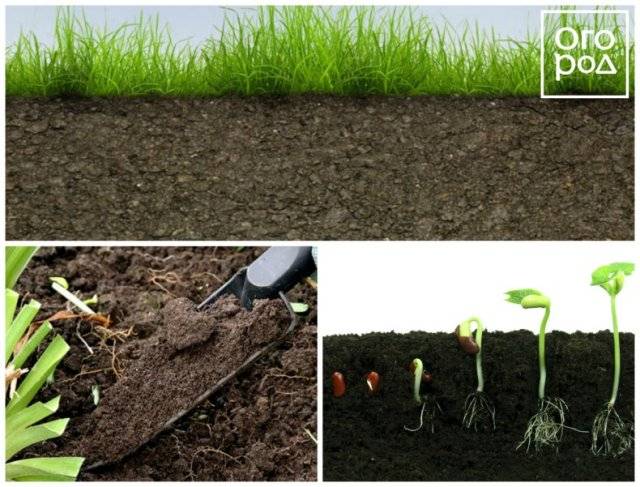 Как повысить плодородие почвы? топ-8 экологически безопасных вариантов +агротехнические методы | (фото & видео) +отзывы
