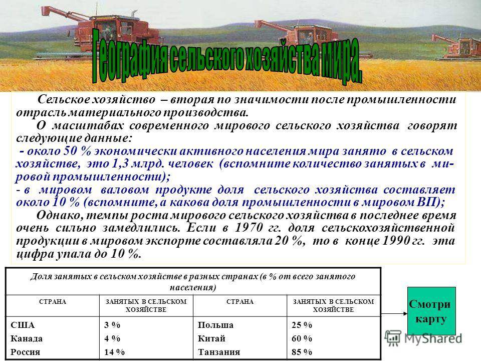 Пришла еда, откуда не ждали: россия увеличила экспорт продовольствия | статьи | известия
