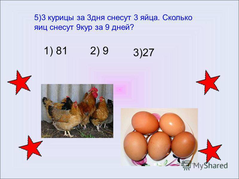 Сколько яиц несет курица-несушка в день, месяц и год