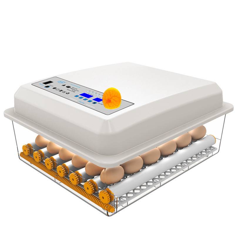 Автоматические инкубаторы  для куриных яиц