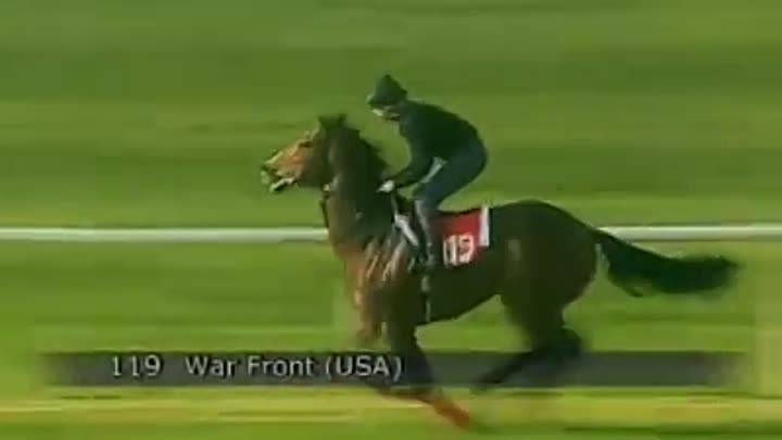 О лошадиной силе. самая быстрая лошадь в мире