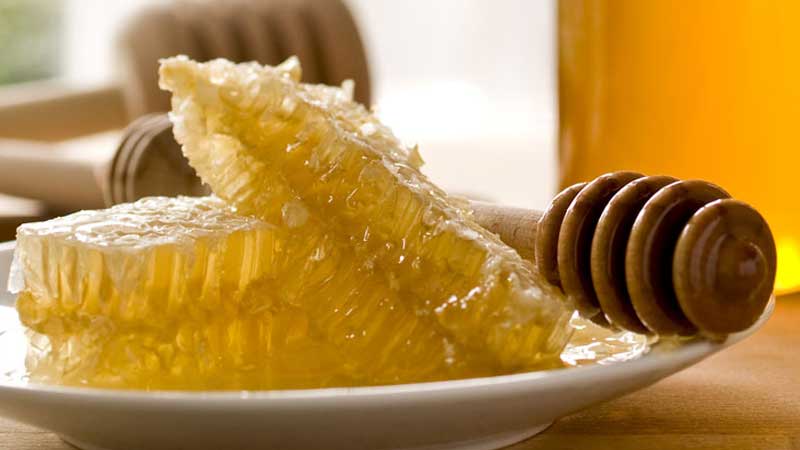 Гречишный мед: свойства, польза, рецепты и противопоказания