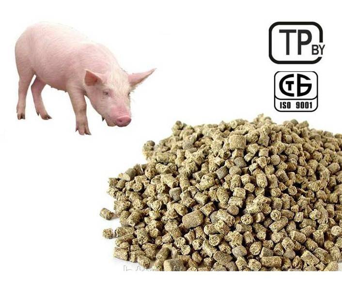 Что необходимо знать при выборе комбикорма для свиней