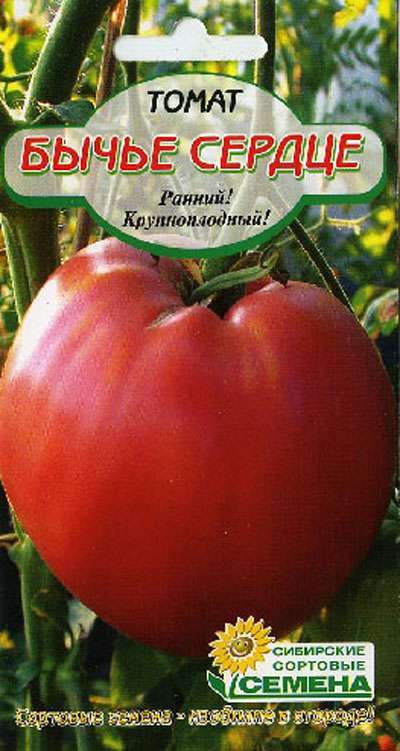 Крупноплодный томат бычье сердце: характеристика сорта, секреты выращивания и борьбы с вредителями