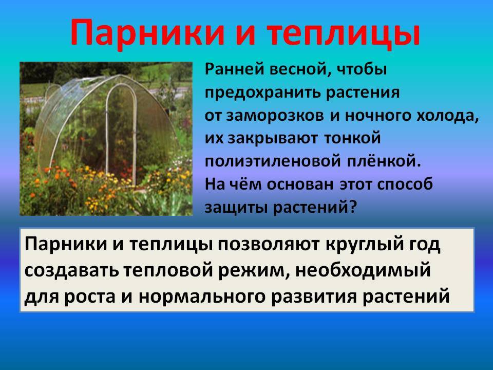 Как уберечь растения от заморозков весной - дачные советы.ру
