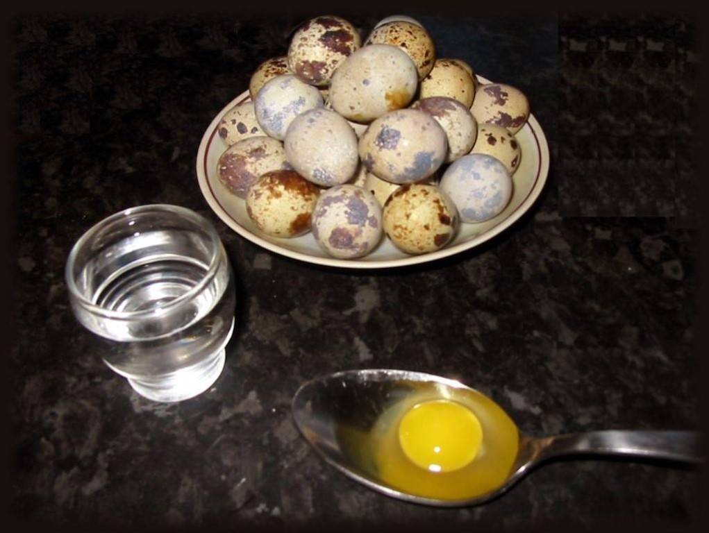Перепелиные яйца – польза для женщин после 50 лет, как принимать