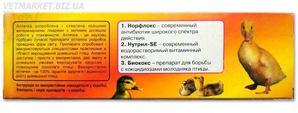Схема пропаивания цыплятбройлеров антибиотиками и витаминами