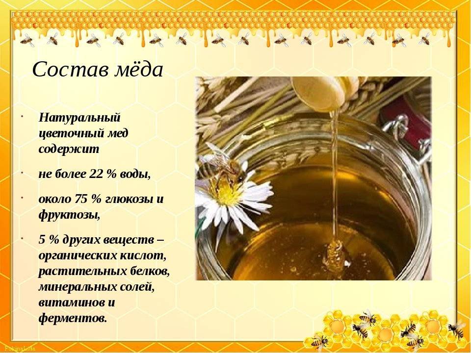 Мед молочай: полезные свойства и противопоказания