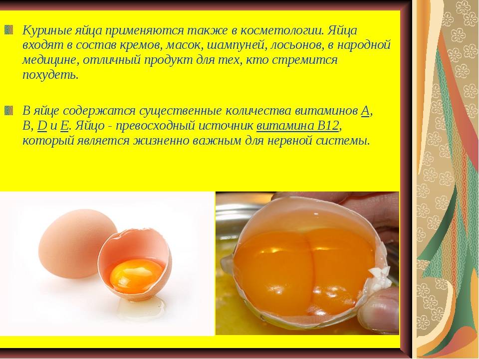 Польза сырых куриных яиц — правда или миф?