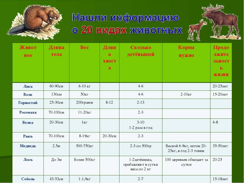Сколько раз длина. Масса животных таблица. Вес животных. Вес домашних животных таблица. Таблицы с животными с весом.