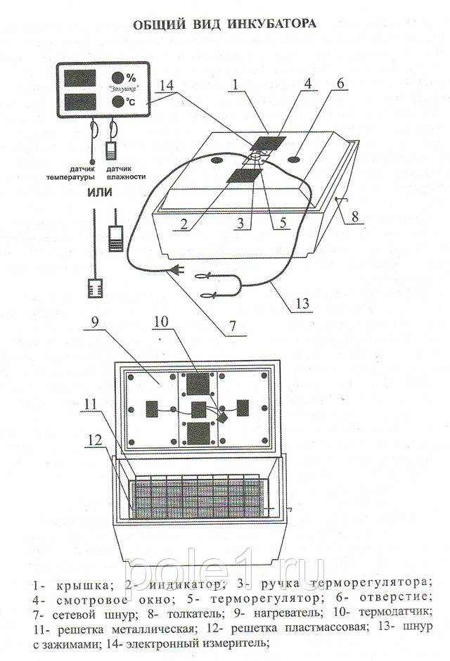 Описание и характеристики инкубатора золушка