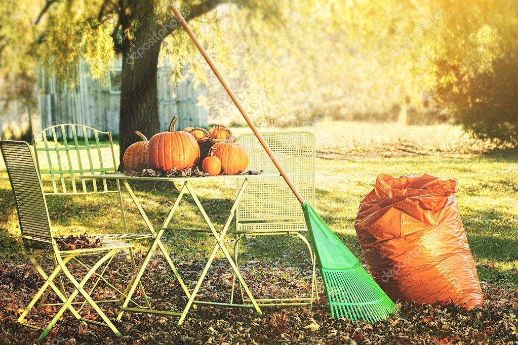 Осенняя уборка на даче, что делать в первую очередь. работы в саду осенью | дачная жизнь