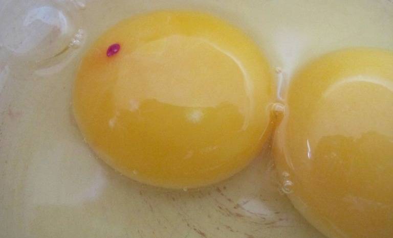 Кровь в сыром курином яйце: причины, приметы, можно ли его есть?
