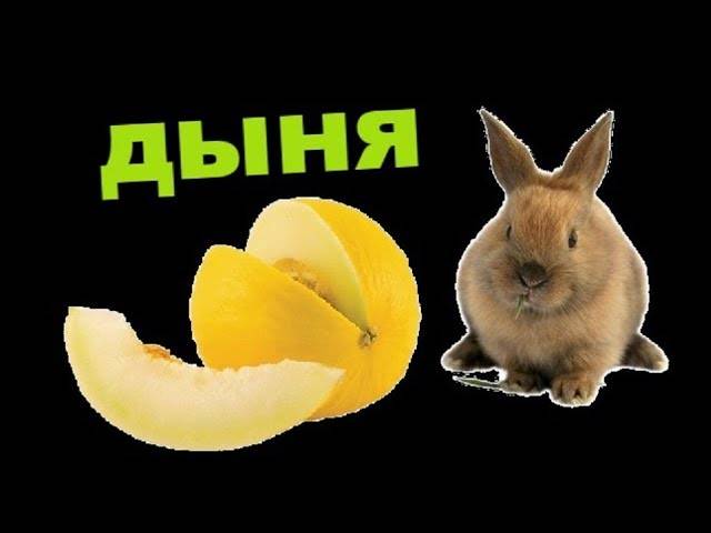 Можно ли кроликам арбуз или дыню и их корки - дневник фермера ferma-lux.ru