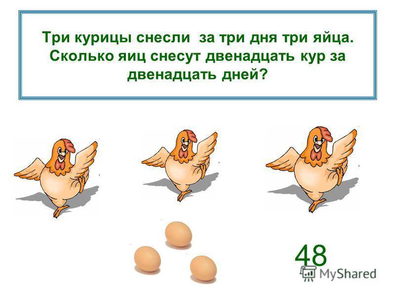 Как повысить яйценоскость кур