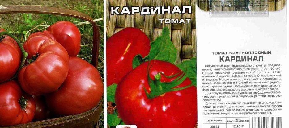 Томат "кардинал": характеристика и описание сорта, урожайность, фото, отзывы