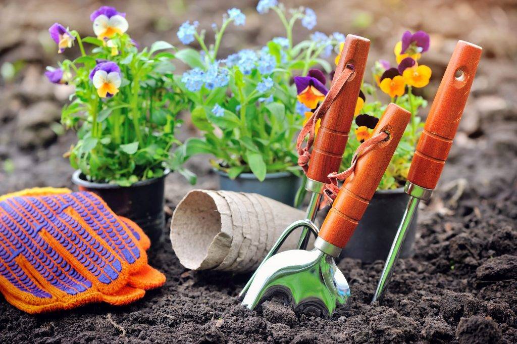 Дачные и садовые работы в мае. полезные советы и рекомендации опытного садовода